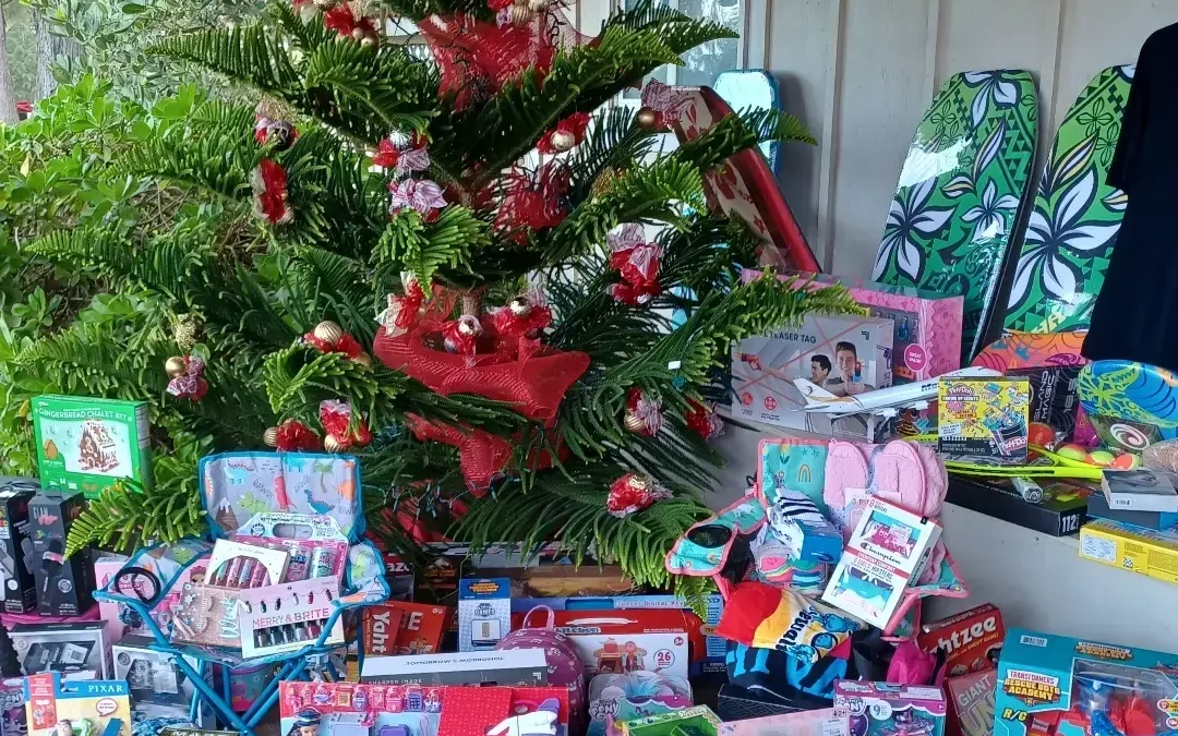 Operation: Toy Box & Christmas Cheer