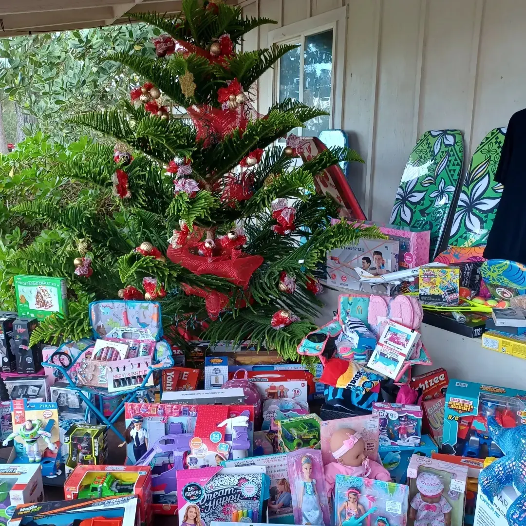 Operation: Toy Box & Christmas Cheer